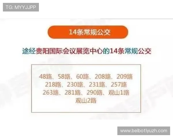 赢博体育平台全面解析助你轻松掌握最新体育赛事投注技巧与策略