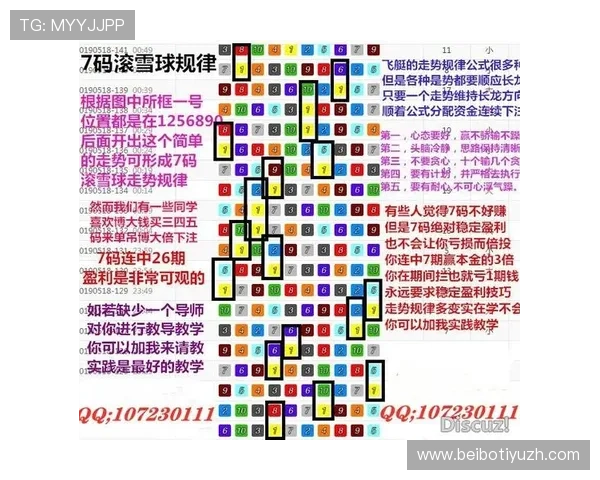掌握买球游戏的规则与技巧提升投注效率实现长期稳定盈利的实用经验分享 掌握买球游戏的规则与技巧提升投注效率实现长期稳定盈利的实用经验分享